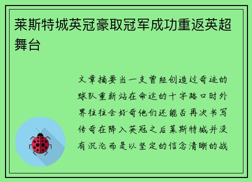 莱斯特城英冠豪取冠军成功重返英超舞台