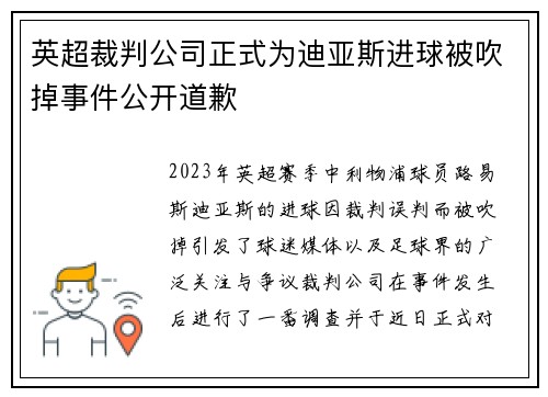 英超裁判公司正式为迪亚斯进球被吹掉事件公开道歉